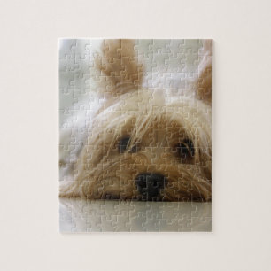 Yorkshire van de het huisdieren leuke hond van het legpuzzel