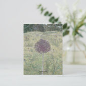 Yorktown Onion Briefkaart (Staand voorkant)