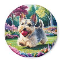 Yorshire Terrier Puppy Spelen in het Park