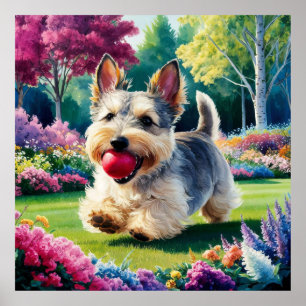Yorshire Terrier Puppy Spelen in het Park Poster