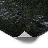 Yosemiet (steen) poster (Hoek)