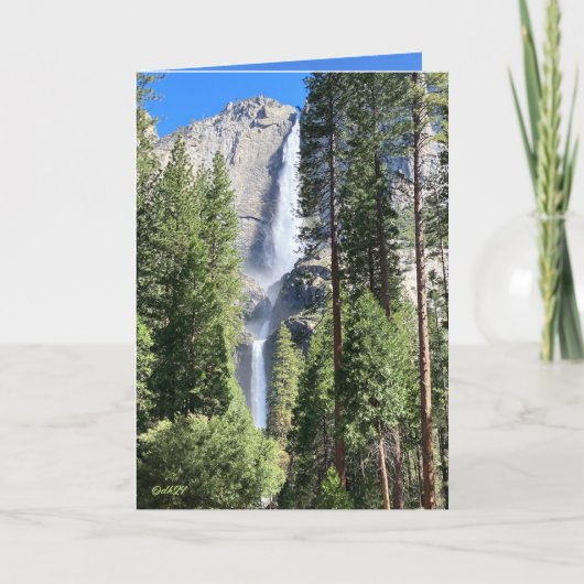 Yosemite 2024 kaart (Voorkant)