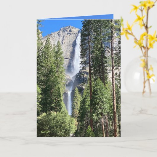 Yosemite 2024 kaart (Gele Bloem)