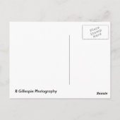 Yosemite Deer Briefkaart (Achterkant)