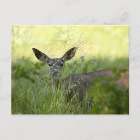 Yosemite Deer Briefkaart (Voorkant)
