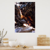 Yosemite Deer Poster (Keuken)