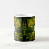 Yosemite Dogwood Mug (Centre)