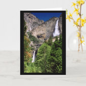 Yosemite Falls 2002 - Carte (Fleur jaune)