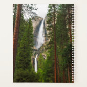 Yosemite Falls à travers la forêt (Dos)