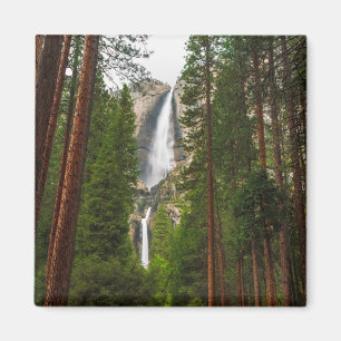 Yosemite Falls door het bos Magneet