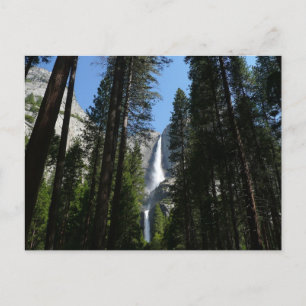 Yosemite Falls en boslandschap fotografie Briefkaart