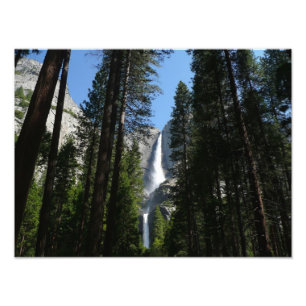 Yosemite Falls et Woods Paysage Photographie
