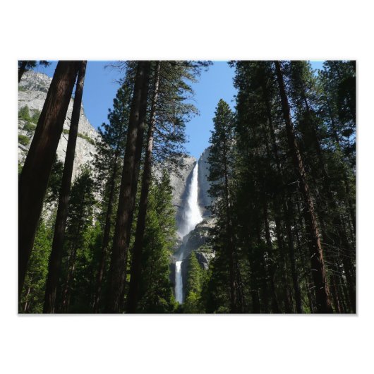 Yosemite Falls et Woods Paysage Photographie (Devant)