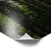 Yosemite Falls et Woods Paysage Photographie (Coin)