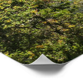 Yosemite Falls from Four Mile Trail Poster (Hoek)