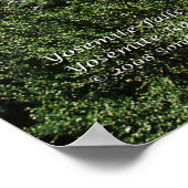 Yosemite Herfsten 2 Afdrukken Poster (Hoek)