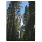 Yosemite Herfsten en Bossen Klembord (Achterkant)