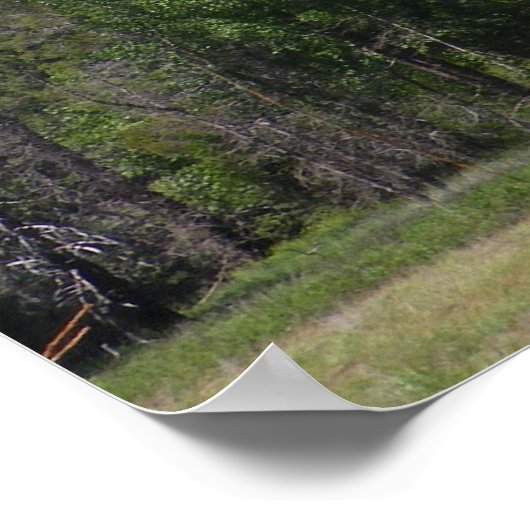 Yosemite Herfsten Poster (Hoek)