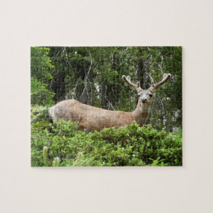 Yosemite Herten Natuurfotografie Legpuzzel