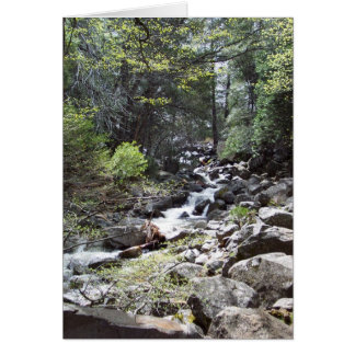 Yosemite in Springtime: Bridalveil Herfsten Trail