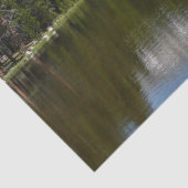 Yosemite Lake Reflection Tissuepapier (Detail)