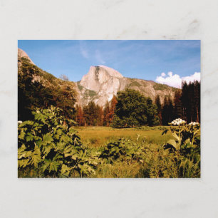 Yosemite National Park California Briefkaart