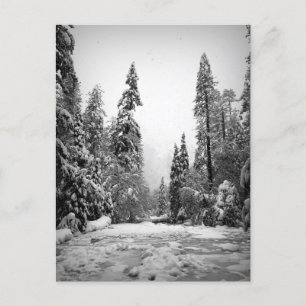 Yosemite National Park, Californië Briefkaart