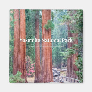 Yosemite National Park Magnet Magneet