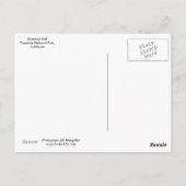 Yosemite National Park Post Card Briefkaart (Achterkant)