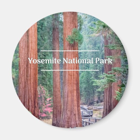 Yosemite National Park Round Magnet Magneet (Voorkant)