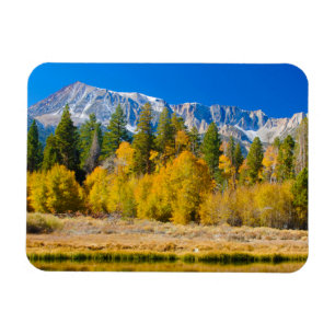 Yosemite National Park Tioga Pass Magneet