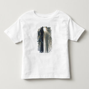 Yosemite National Park - Zonnestralen schijnen Kinder Shirts