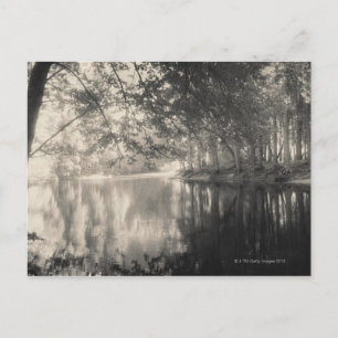 Yosemite Park Wyoming Briefkaart