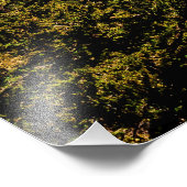 Yosemite Poster (Hoek)