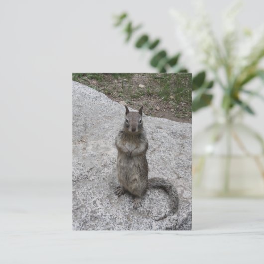 Yosemite Squirrel Briefkaart (Staand voorkant)