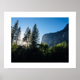 Yosemite Sunlit Trees Color Photography Poster