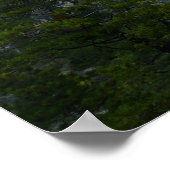 Yosemite-vallei in het Nationaal Park Yosemite Poster (Hoek)