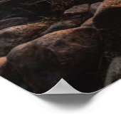 Yosemite's poorten van de vallei poster (Hoek)