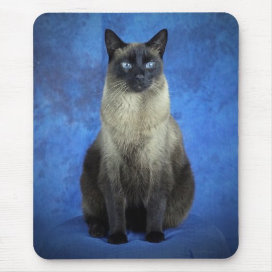 Yoshi de Siamese Kitty Cat Kitten Mousepad Muismat (Voorkant)