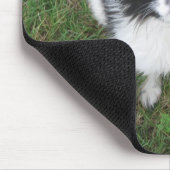 Yoshi Muismat (Hoek)