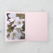 Yoshino Cherry : Cartes pliées (Intérieur)