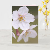 Yoshino Cherry : Cartes pliées (Fleur jaune)