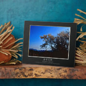 Yoshino Cherry Fotoplaat (Zijkant)