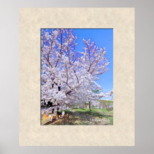 Yoshino Cherry Poster (Voorkant)