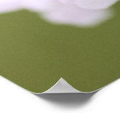 Yoshino Cherry : Poster (Coin)