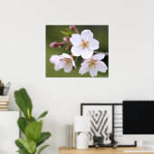 Yoshino Cherry : Poster (Bureau à domicile)