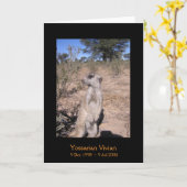 Yossarian - carte de légendes (Fleur jaune)