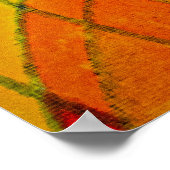 Yossef-Joseph Poster (Hoek)