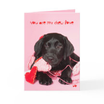 You are my Chew Love Black Lab Valentine