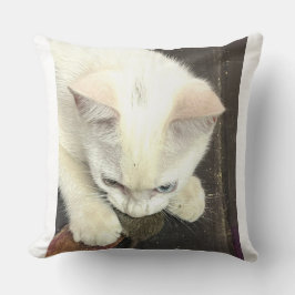 You Got Me!, Funny Anniversary Throw Pillow Kussen